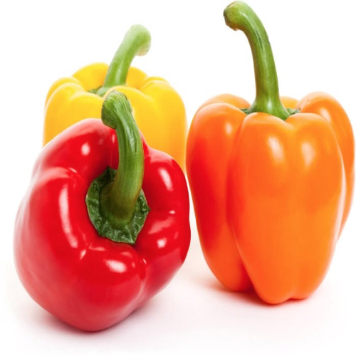 فلفل دلمه رنگى اعلاء(٤عددى)700 گرم